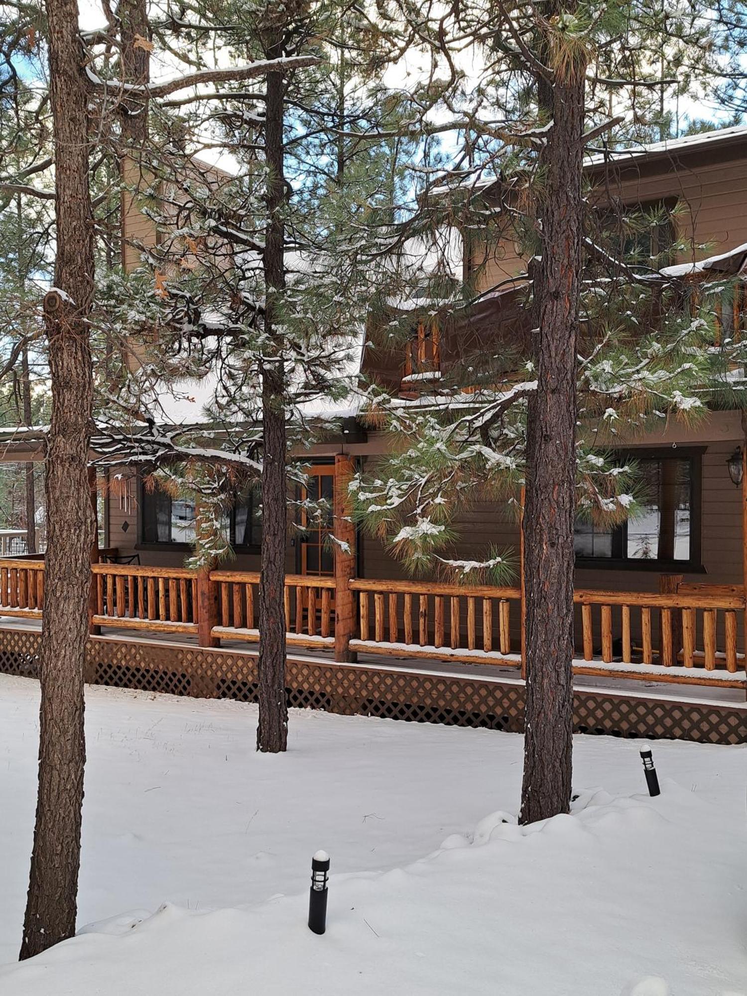 فيلا Tranquil Getaway In The Pines! W/Fire Pit & Grill! Indian Pine المظهر الخارجي الصورة