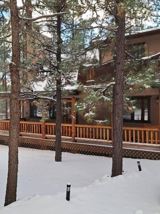 فيلا Tranquil Getaway In The Pines! W/Fire Pit & Grill! Indian Pine المظهر الخارجي الصورة